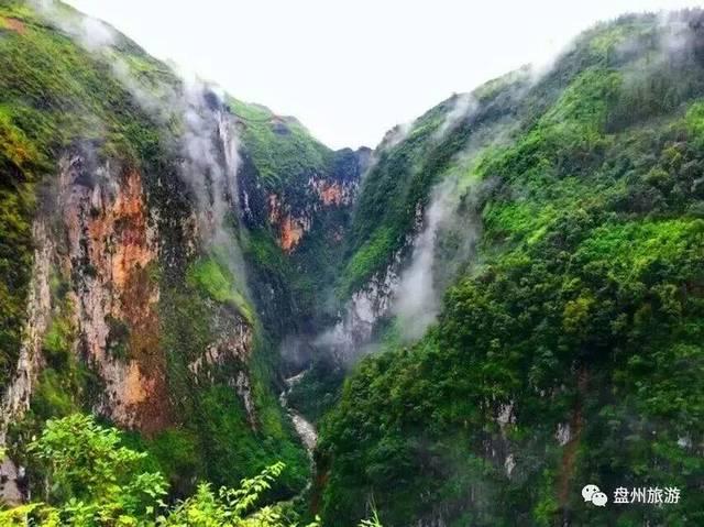 全民烧脑3去广告版